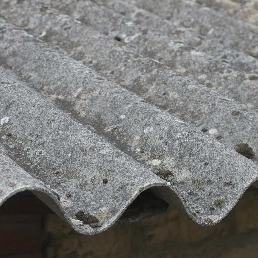 Asbesthaltige Eternit-Wellplatte (Asbestzement-Dachplatte) als typisches Verdachtsmaterial